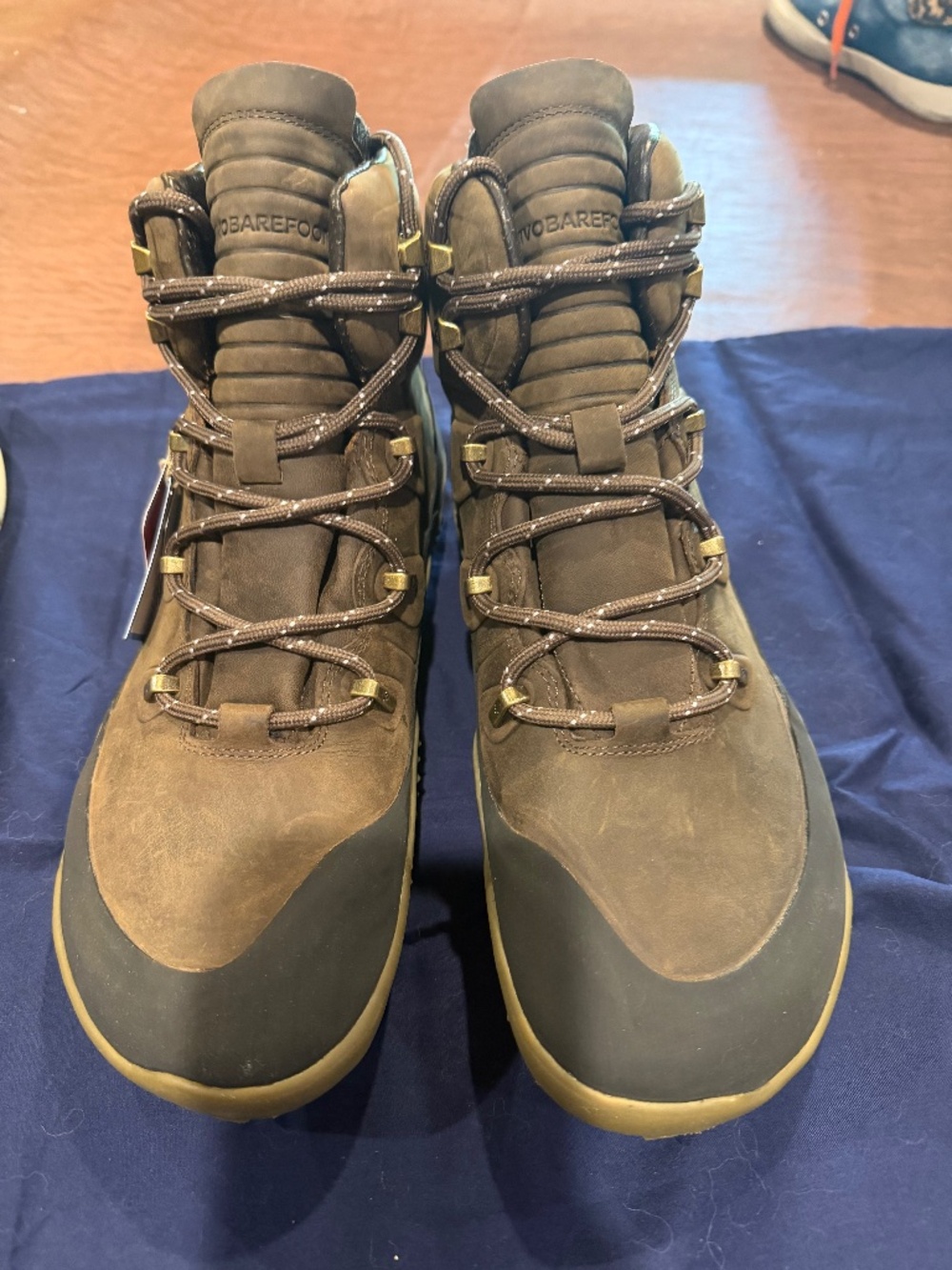 Hiking boot